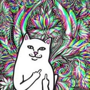 Meet your Posher, Candice